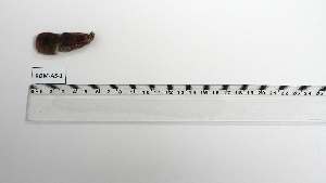  ( - ROM-AS-1)  @11 [ ] Unspecified (default): All Rights Reserved (2122) Institut National de Recherche Halieutique, Maroc Institut National de Recherche Halieutique, Maroc