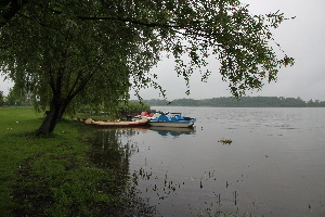  ( - 158_001)  @11 [ ] CreativeCommons-Attribution Non-Commercial Share-Alike (2020) Kostrzyca Forest Gene Bank Kostrzyca Forest Gene Bank