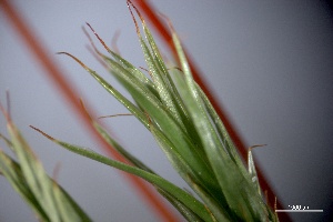  ( - BHAK-3819)  @11 [ ] CreativeCommons Attribution Non-Commercial No Derivatives (2025) Matt Lemay Hakai Institute