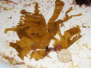  ( - GWS022753)  @11 [ ] Unspecified (default): All Rights Reserved  Unspecified Unspecified