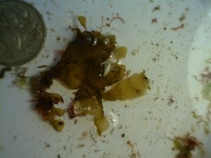  ( - GWS023072)  @11 [ ] Unspecified (default): All Rights Reserved  Unspecified Unspecified