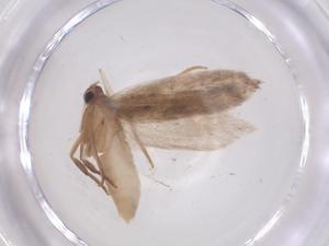  ( - CBG-A63301-F10)  @11 [ ] CreativeCommons - Attribution Share - Alike (2025) Centre for Biodiversity Genomics Centre for Biodiversity Genomics