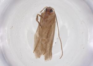  ( - CBG-A63305-F07)  @11 [ ] CreativeCommons - Attribution Share - Alike (2025) Centre for Biodiversity Genomics Centre for Biodiversity Genomics