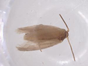  ( - CBG-A63309-F08)  @11 [ ] CreativeCommons - Attribution Share - Alike (2025) Centre for Biodiversity Genomics Centre for Biodiversity Genomics