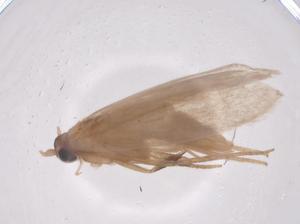  ( - CBG-A63312-F05)  @11 [ ] CreativeCommons - Attribution Share - Alike (2025) Centre for Biodiversity Genomics Centre for Biodiversity Genomics