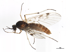  ( - BIOUG01373-D02)  @14 [ ] CreativeCommons - Attribution (2012) CBG Photography Group Centre for Biodiversity Genomics