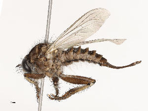  ( - CBG-B21862-F04)  @11 [ ] CreativeCommons - Attribution Share - Alike (2025) CBG Photography Group Centre for Biodiversity Genomics