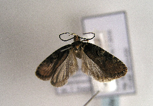  ( - TLMF Lep 01639)  @12 [ ] Copyright  TLMF 2010 Unspecified