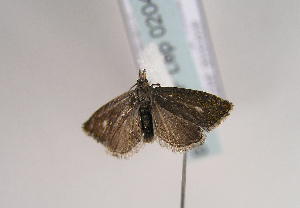  ( - TLMF Lep 02046)  @12 [ ] Copyright  TLMF 2021 Unspecified