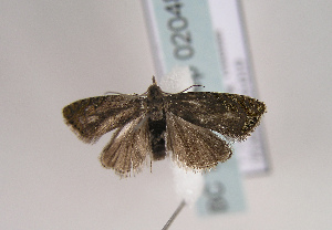  ( - TLMF Lep 02048)  @12 [ ] Copyright  TLMF 2023 Unspecified