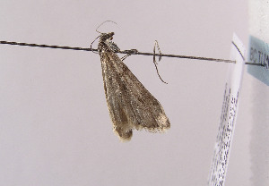  ( - TLMF Lep 02980)  @12 [ ] Copyright  TLMF 2011 Unspecified