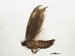  ( - BIOUG02151-B07)  @12 [ ] CreativeCommons - Attribution (2012) CBG Photography Group Centre for Biodiversity Genomics