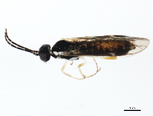 ( - 10PHMAL-0410)  @13 [ ] CreativeCommons - Attribution (2011) CBG Photography Group Centre for Biodiversity Genomics