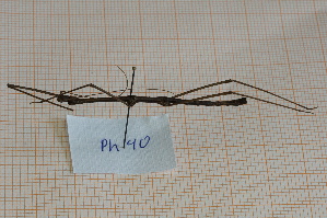  ( - Ph40)  @11 [ ] No Rights Reserved  Unspecified Unspecified