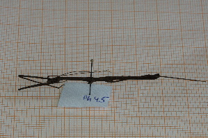  ( - Ph45)  @11 [ ] No Rights Reserved  Unspecified Unspecified