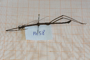  ( - Ph58)  @11 [ ] No Rights Reserved  Unspecified Unspecified