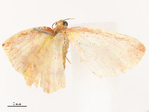  ( - CBG-B16504-E07)  @11 [ ] CreativeCommons - Attribution Share - Alike (2025) CBG Photography Group Centre for Biodiversity Genomics