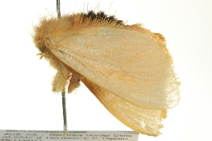  ( - BIOUG02250-D05)  @13 [ ] CreativeCommons - Attribution (2012) CBG Photography Group Centre for Biodiversity Genomics