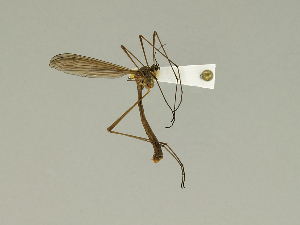  ( - 08PROBE-1447)  @13 [ ] Unspecified (default): All Rights Reserved  Unspecified Unspecified
