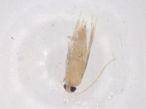  ( - CBG-B00166-E02)  @11 [ ] CreativeCommons - Attribution Share - Alike (2025) Centre for Biodiversity Genomics Centre for Biodiversity Genomics