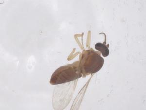  ( - CBG-B00170-A05)  @11 [ ] CreativeCommons - Attribution Share - Alike (2025) Centre for Biodiversity Genomics Centre for Biodiversity Genomics