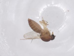  ( - CBG-B00170-C05)  @11 [ ] CreativeCommons - Attribution Share - Alike (2025) Centre for Biodiversity Genomics Centre for Biodiversity Genomics