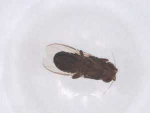  ( - CBG-B01935-D07)  @11 [ ] CreativeCommons - Attribution Share - Alike (2025) Centre for Biodiversity Genomics Centre for Biodiversity Genomics