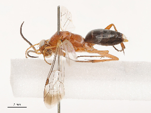  ( - CBG-B04682-D11)  @11 [ ] CreativeCommons - Attribution Share - Alike (2025) CBG Photography Group Centre for Biodiversity Genomics