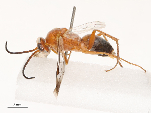  ( - CBG-B04682-G10)  @11 [ ] CreativeCommons - Attribution Share - Alike (2025) CBG Photography Group Centre for Biodiversity Genomics