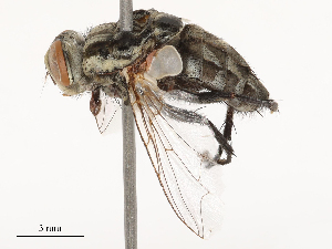  ( - CBG-B04687-B07)  @11 [ ] CreativeCommons - Attribution Share - Alike (2025) CBG Photography Group Centre for Biodiversity Genomics