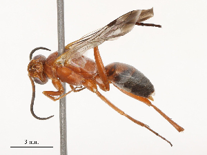  ( - CBG-B04687-C12)  @11 [ ] CreativeCommons - Attribution Share - Alike (2025) CBG Photography Group Centre for Biodiversity Genomics