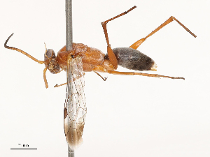  ( - CBG-B04687-D10)  @11 [ ] CreativeCommons - Attribution Share - Alike (2025) CBG Photography Group Centre for Biodiversity Genomics