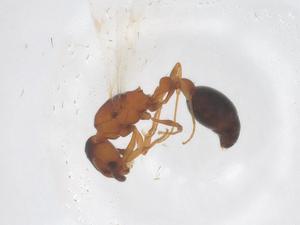  ( - CBG-B04962-F07)  @11 [ ] CreativeCommons - Attribution Share - Alike (2025) Centre for Biodiversity Genomics Centre for Biodiversity Genomics