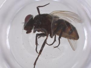  ( - CBG-B23668-B10)  @11 [ ] CreativeCommons - Attribution Share - Alike (2025) Centre for Biodiversity Genomics Centre for Biodiversity Genomics