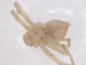  ( - CBG-B23674-E11)  @11 [ ] CreativeCommons - Attribution Share - Alike (2025) Centre for Biodiversity Genomics Centre for Biodiversity Genomics