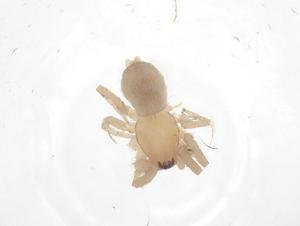  ( - CBG-B23682-F01)  @11 [ ] CreativeCommons - Attribution Share - Alike (2025) Centre for Biodiversity Genomics Centre for Biodiversity Genomics