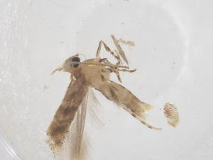  ( - CBG-B01142-B10)  @11 [ ] CreativeCommons - Attribution Share - Alike (2025) Centre for Biodiversity Genomics Centre for Biodiversity Genomics