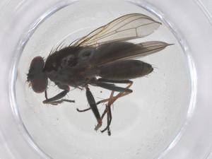  ( - CBG-B01142-C08)  @11 [ ] CreativeCommons - Attribution Share - Alike (2025) Centre for Biodiversity Genomics Centre for Biodiversity Genomics