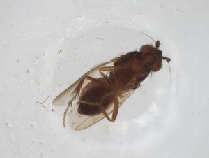  ( - CBG-A19346-G07)  @11 [ ] CreativeCommons - Attribution Share - Alike (2023) Centre for Biodiversity Genomics Centre for Biodiversity Genomics