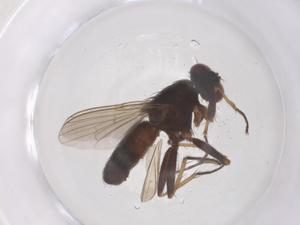  ( - CBG-B01813-A08)  @11 [ ] CreativeCommons - Attribution Share - Alike (2025) Centre for Biodiversity Genomics Centre for Biodiversity Genomics