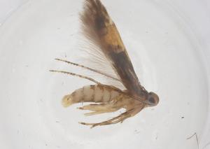  ( - CBG-B01814-A07)  @11 [ ] CreativeCommons - Attribution Share - Alike (2025) Centre for Biodiversity Genomics Centre for Biodiversity Genomics