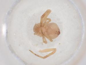  ( - CBG-B02727-A08)  @11 [ ] CreativeCommons - Attribution Share - Alike (2025) Centre for Biodiversity Genomics Centre for Biodiversity Genomics