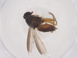  ( - CBG-B02731-B03)  @11 [ ] CreativeCommons - Attribution Share - Alike (2025) Centre for Biodiversity Genomics Centre for Biodiversity Genomics