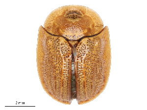  ( - CBG-B03157-D07)  @11 [ ] CreativeCommons - Attribution Share - Alike (2025) CBG Photography Group Centre for Biodiversity Genomics