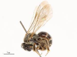  ( - CBG-B15758-G10)  @11 [ ] CreativeCommons - Attribution Share - Alike (2025) CBG Photography Group Centre for Biodiversity Genomics