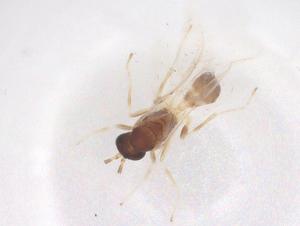  ( - CBG-B23625-D11)  @11 [ ] CreativeCommons - Attribution Share - Alike (2025) Centre for Biodiversity Genomics Centre for Biodiversity Genomics