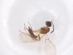  ( - CBG-B23625-E05)  @11 [ ] CreativeCommons - Attribution Share - Alike (2025) Centre for Biodiversity Genomics Centre for Biodiversity Genomics