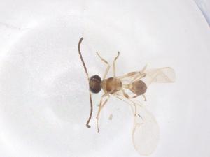  ( - CBG-B23625-F03)  @11 [ ] CreativeCommons - Attribution Share - Alike (2025) Centre for Biodiversity Genomics Centre for Biodiversity Genomics