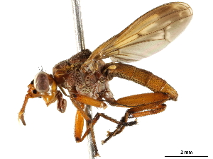  ( - BIOUG44460-B04)  @11 [ ] CreativeCommons - Attribution (2019) CBG Photography Group Centre for Biodiversity Genomics