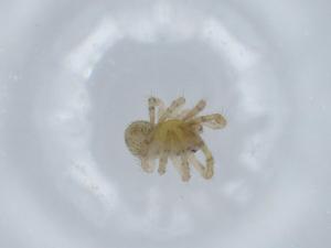  ( - BIOUG57512-D11)  @11 [ ] CreativeCommons - Attribution (2020) Centre for Biodiversity Genomics Centre for Biodiversity Genomics